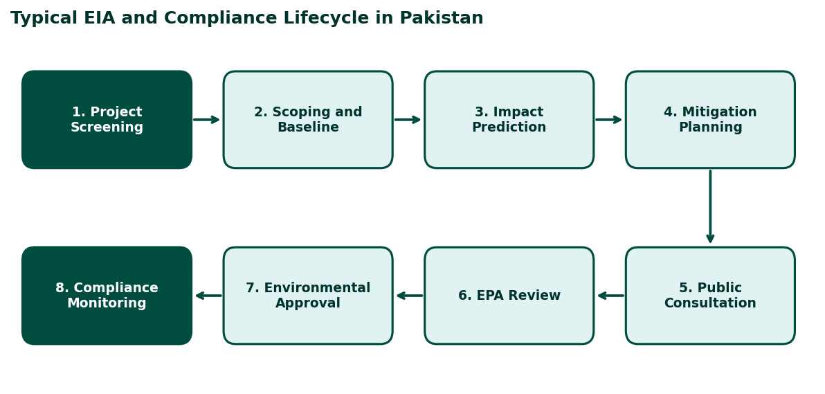 Typical EIA and Compliance Lifecycle in Pakistan
