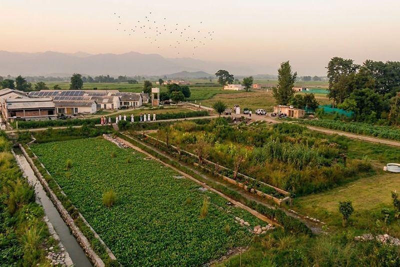 Constructed wetlands Pakistan