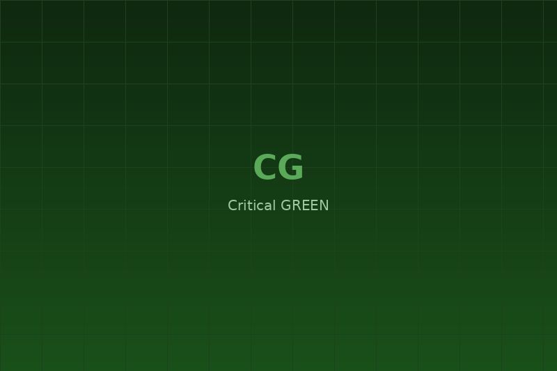 M. Aqeel Saleem — Director, Critical GREEN
