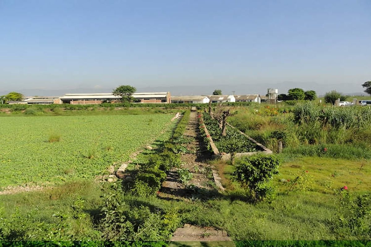 FWS wetland open water system