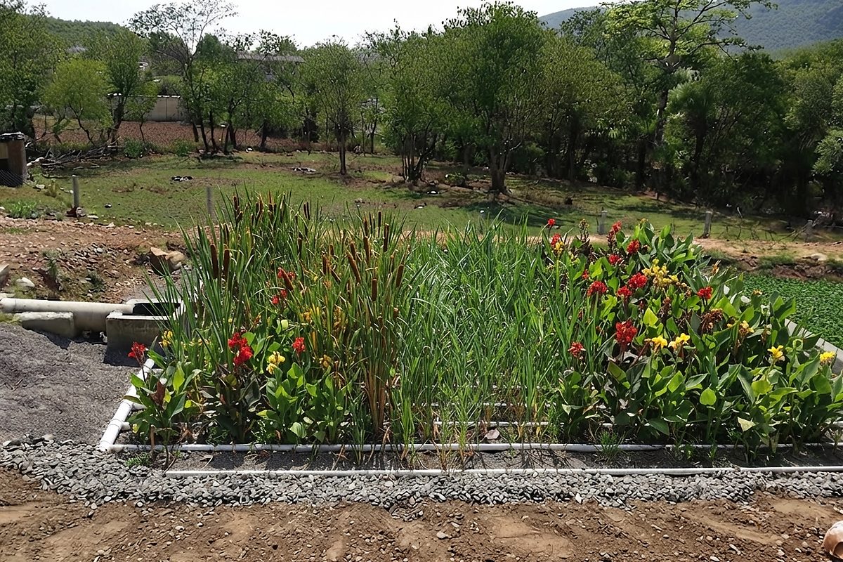 VSSF vertical flow constructed wetland system — technical illustration