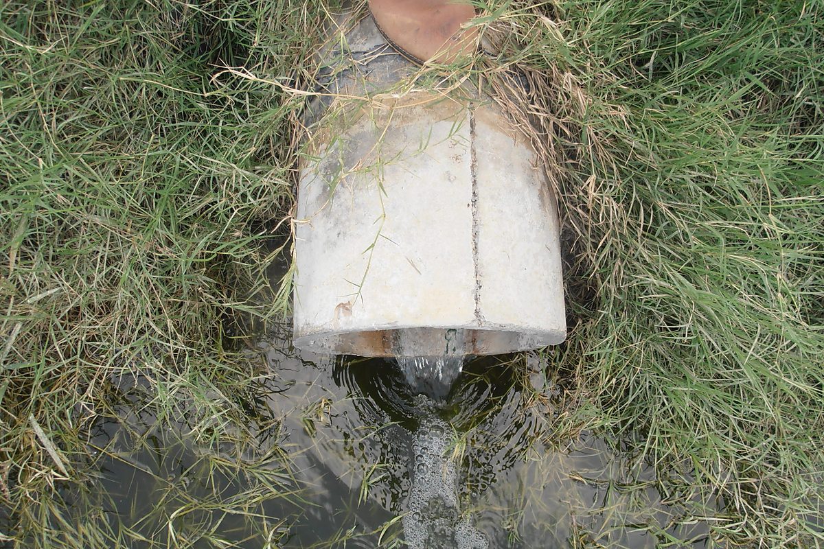 Household constructed wetlands Beer Pani AJK — Critical GREEN