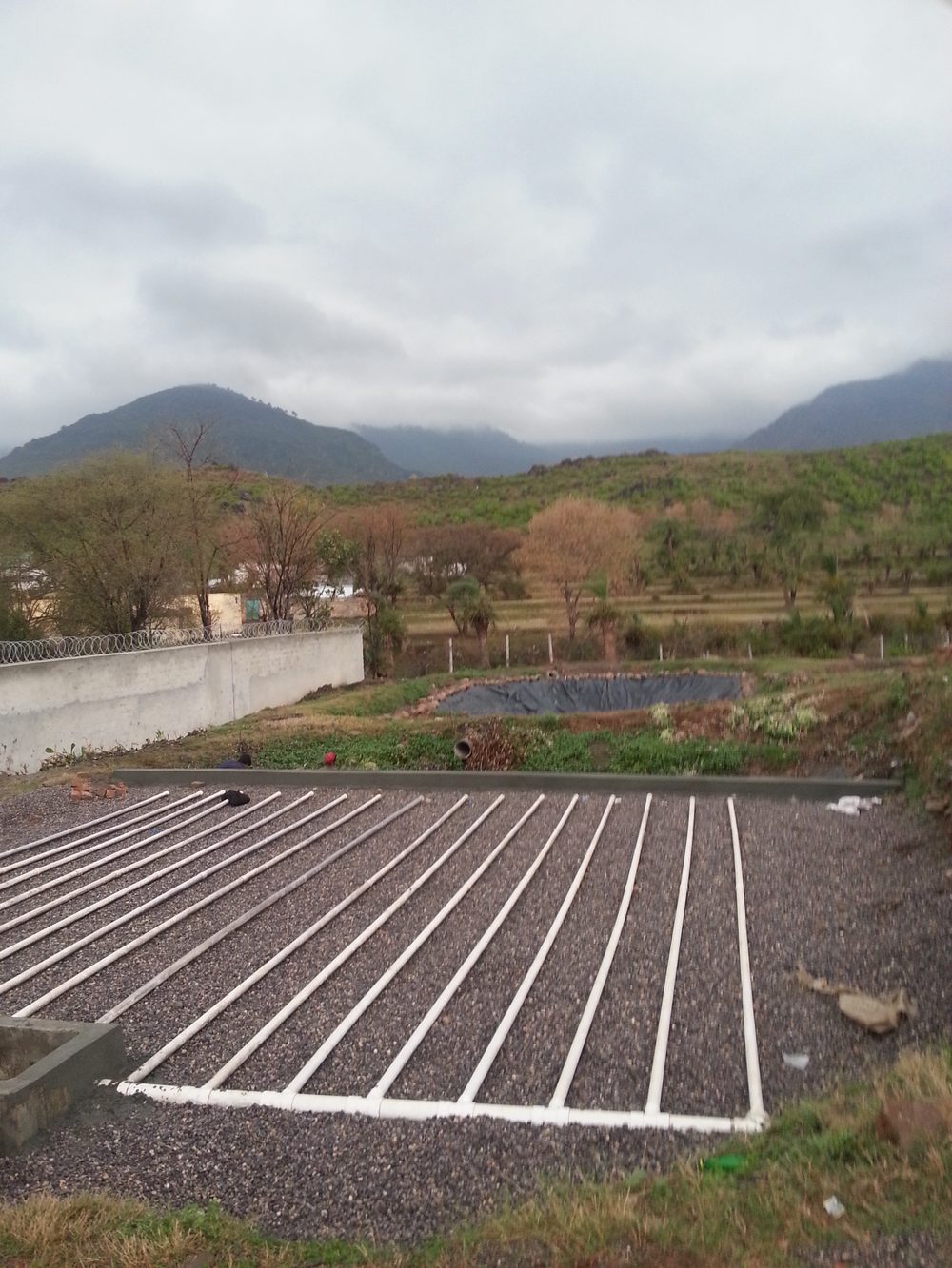 Critical GREEN R&D Facility, Quaid-e-Azam University — Critical GREEN