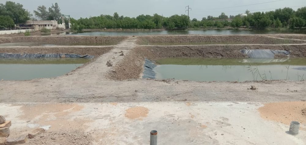 Digri Sugar Mills, Mirpur Khas — Critical GREEN