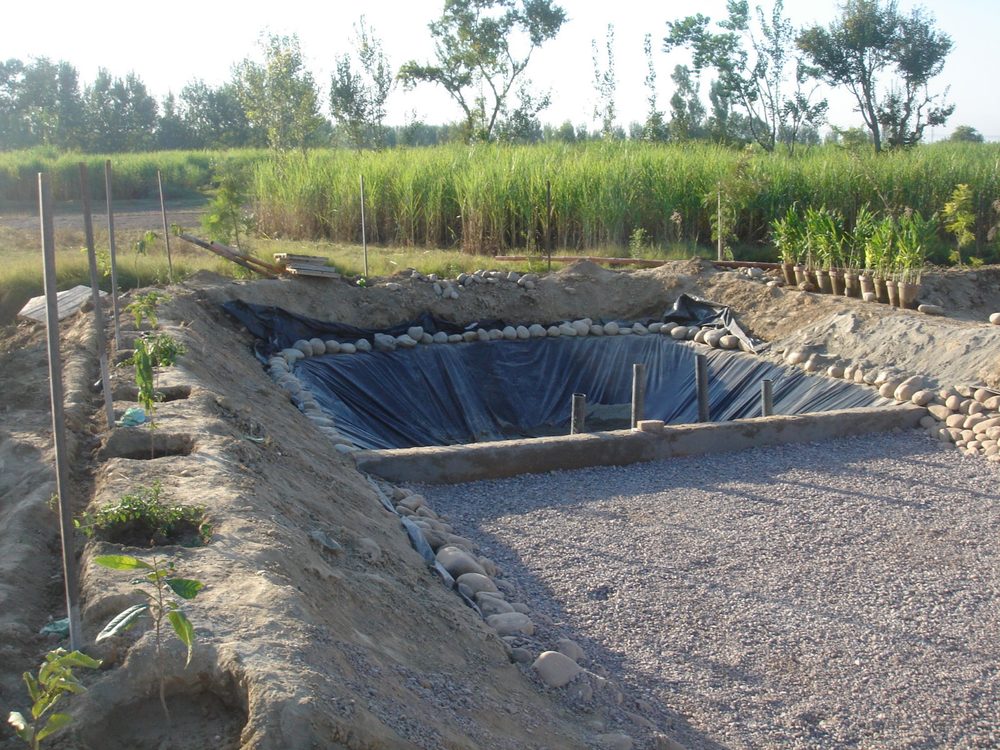 Village Baba Ji Kali, District Nowshera, KPK — Critical GREEN